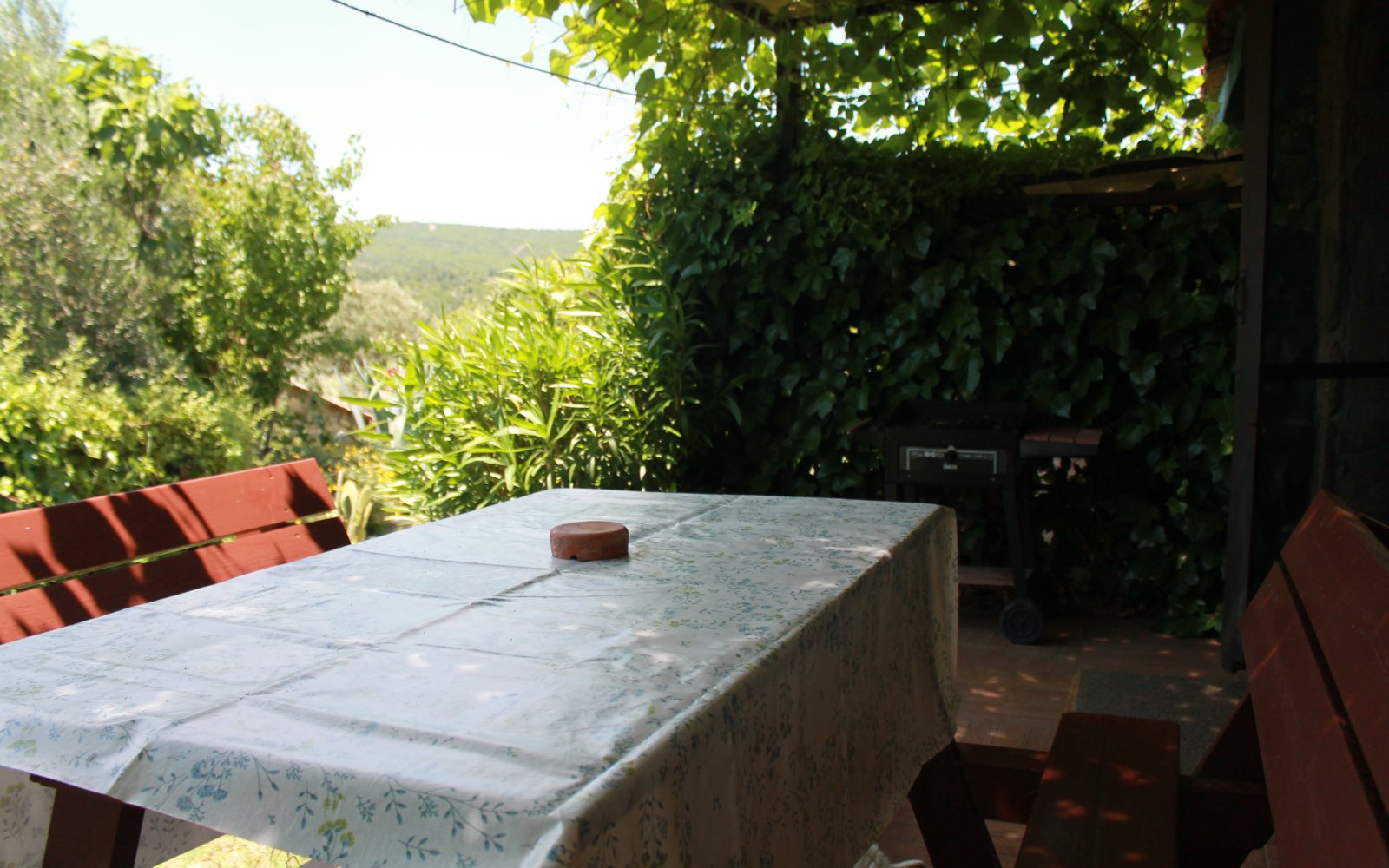 Alçıtepe
